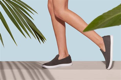 allbirds        shoe brand