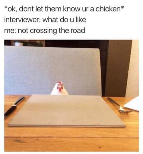 The best chicken memes :) Memedroid