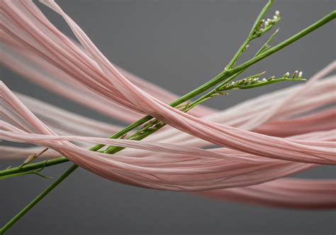 What Is the Difference between 'Substantive' and 'Symbolic' Green