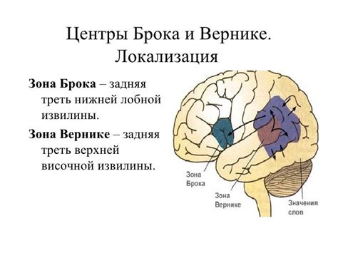 история изучения речи