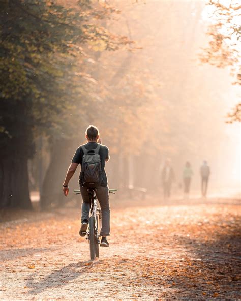 Parcul Central Cluj Napoca : r/RomaniaPorn