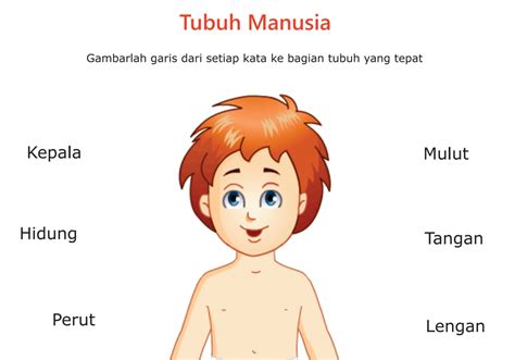 belajar anggota tubuh melalui gambar  anak tk kumpulan materi