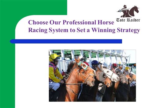 Choose our professional horse racing system to set a winning strategy