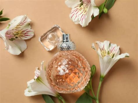 long   perfume bottle  expert guide storage tips daxin