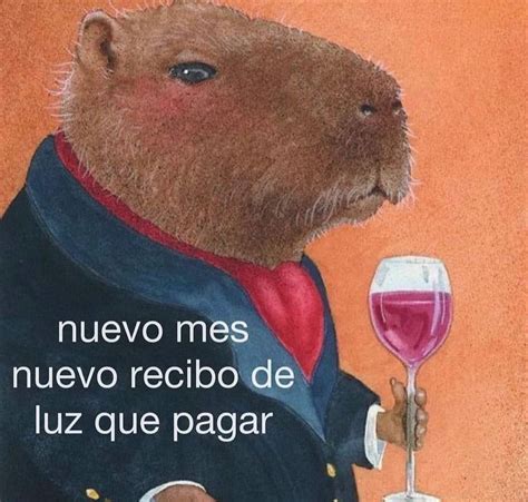 nuevo mes nuevo recibo de luz  pagar memes