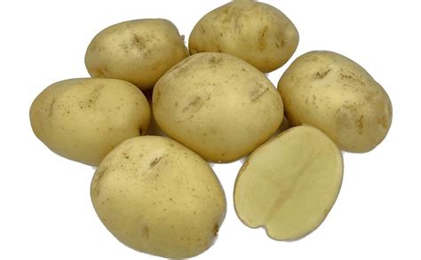 OXANIA | PotatoPro