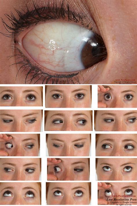 Eye Becca by livemodelbooks on DeviantArt