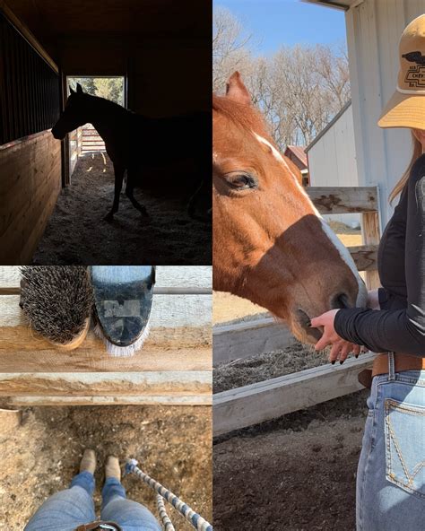 Emma Claire (@farmgirlemma) • Instagram photos and videos