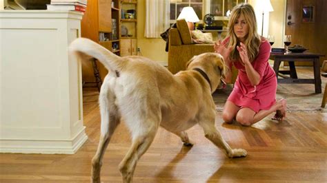 Io & Marley - Film (2008) - MYmovies.it