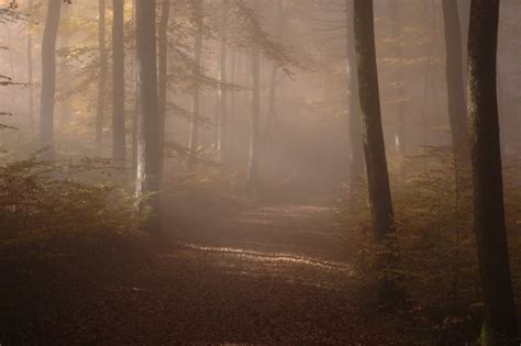 50 More Fantastic Photos from 50mm Lenses | Envato Tuts+
