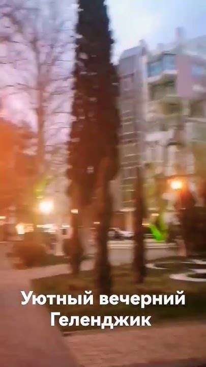 зверь, наутилус#мальтийскаяболонка#жизньуморя#музыка# - YouTube