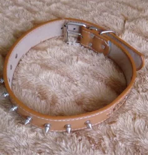 Ошейник с шипами ld090 Lockdog L (45-55 см) (zoo0000425) Бежевый от ...
