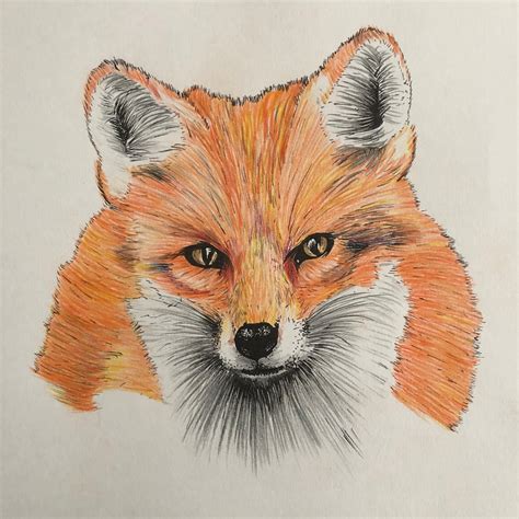 Fox by NickBaileyArt on DeviantArt