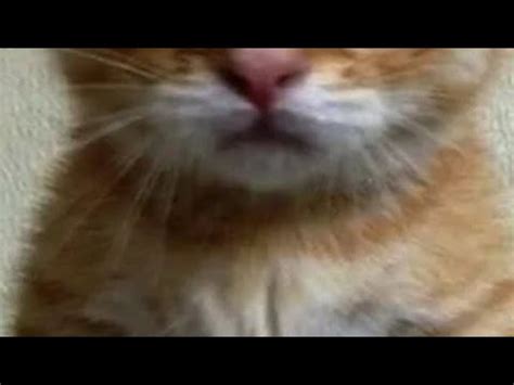 мем- хочешь покажу ....... - YouTube