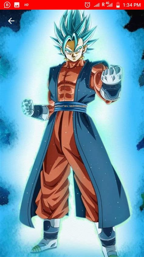 xeno Vegito saiyan king omni person | Wiki | Anime Amino