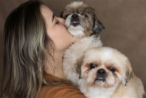 Hypoallergenic Dogs: Find the Perfect Breed for Allergy Sufferers - Hunter Games Magazine