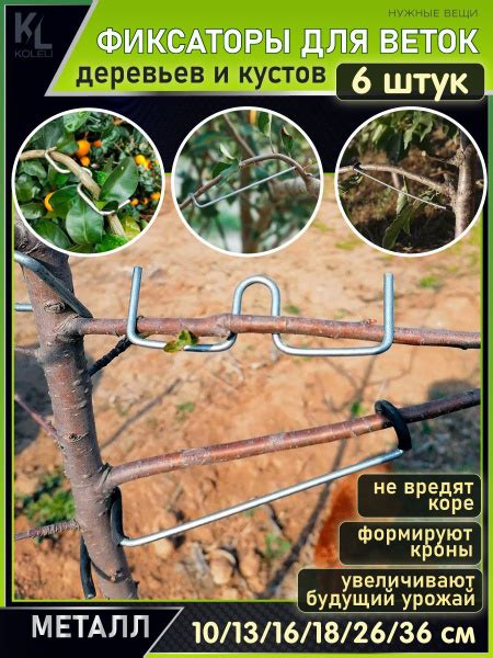 Характеристики НАБОР / Металлические фиксаторы для веток / Распорки для ...