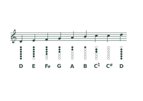 How To Play The Irish Tin Whistle