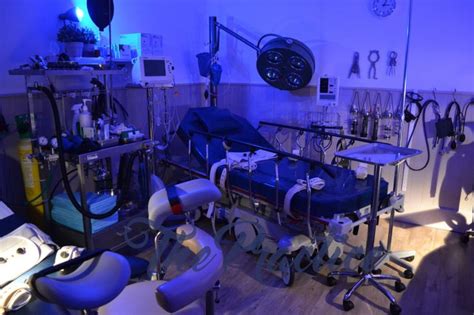 58 best BD/SM Studio - Medical Dreams images on Pinterest | Med school ...