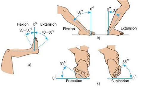 Normal values for ankle movements: a - b) flexion - extension; c)... | Download Scientific Diagram