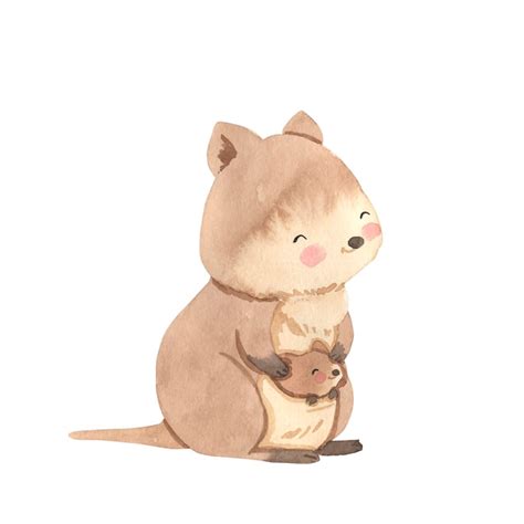 Premium Vector | Quokka watercolor illustration for kids