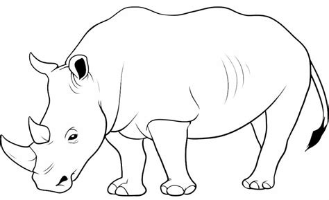 Rinoceronte Para Colorir - 30+ Desenhos de Rinoceronte para colorir - Pop Lembrancinhas