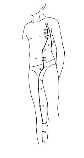 Акупунктура против болезней / Акупунктура Medical Anatomy, Daily Health ...