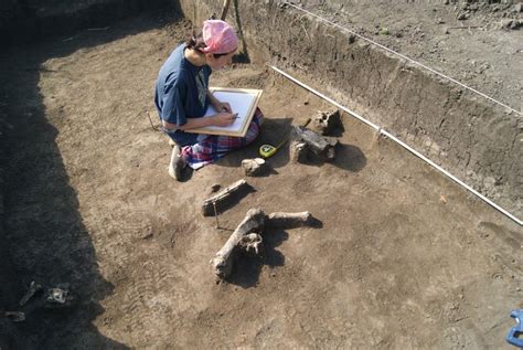 7,000 Year-Old House Discovered in Moldova
