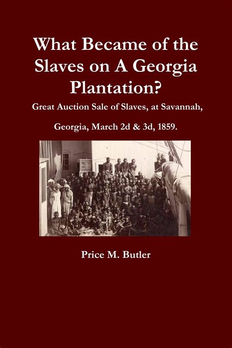 What Became Of The Slaves On A Georgia Plantation? Great Auction Sale