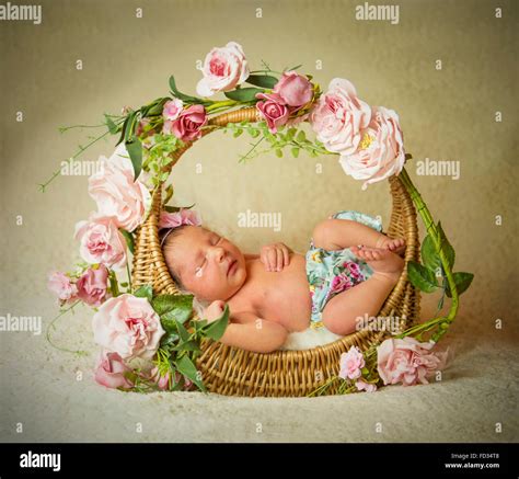 Newborn baby girl asleep in a basket with flowers Stock Photo - Alamy