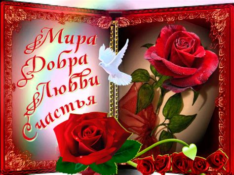 Красивые анимационные открытки с пожеланиями для друзей. | Rose, Drops ...