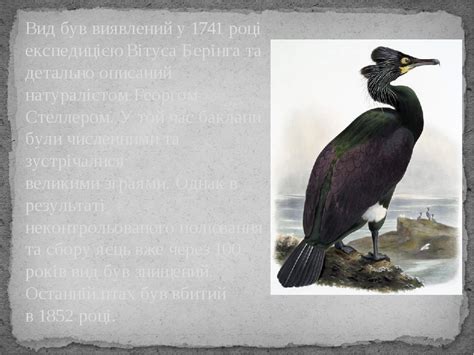 Презентація "Чорна книга України"