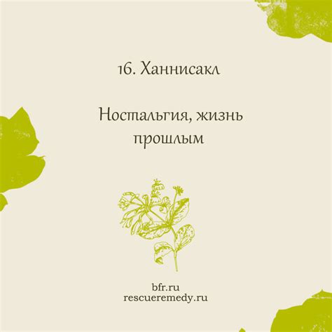 Капли "Цветы Баха" - натуральное успокоительное средство