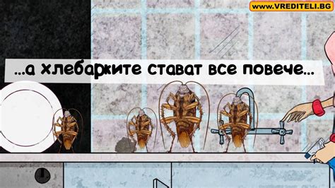 Хлебарки - това което не знаете за борбата с тях! - YouTube