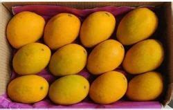 hapus  alphonso mango devgad alphonso hapus mango manufacturer