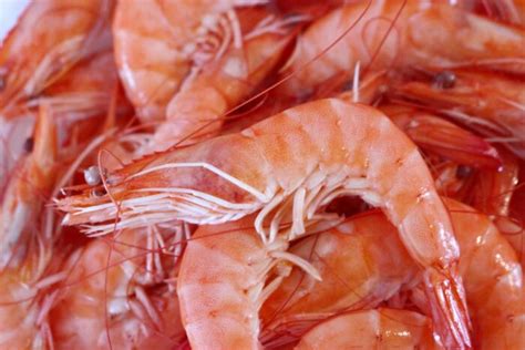 Креветки королевские: вариации приготовления