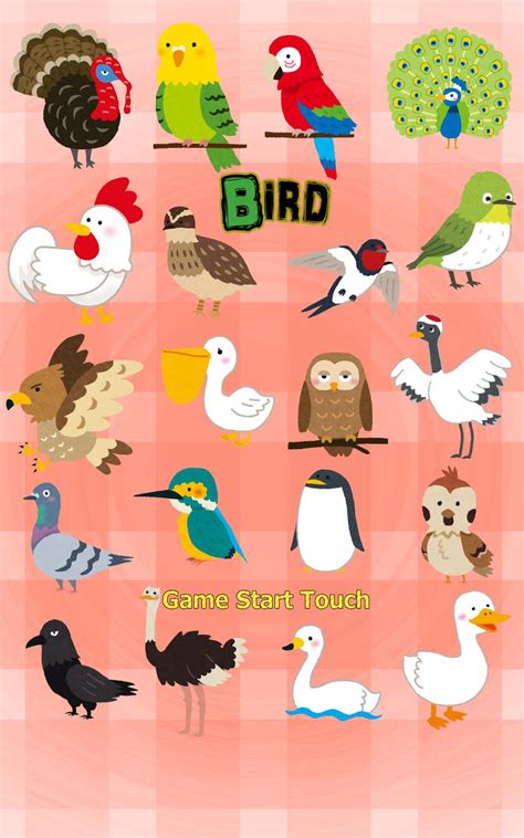 concentration card games 8