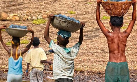 Foto De Trabalho Infantil - IBGE: trabalho infantil caiu 21,4% no país | Radioagência
