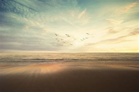 composition checklist contrastly