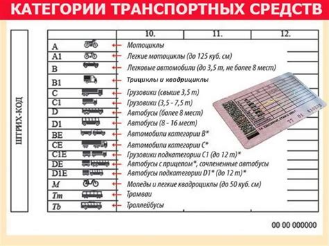 Категории А и А1 в водительском удостоверении — это право на управление ...