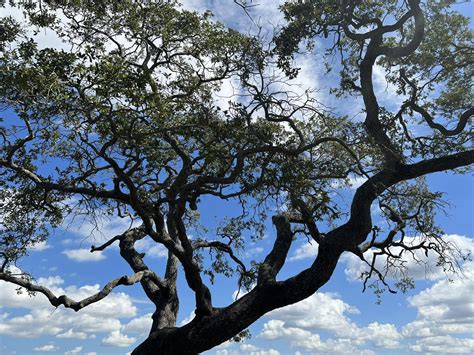 Alexis james - Alexis james added a new photo.