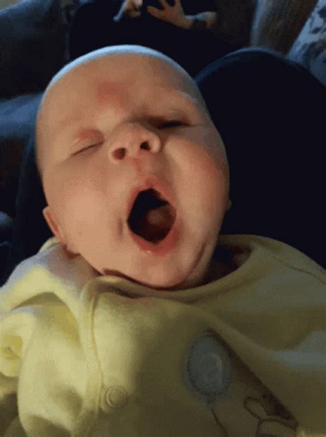yawn gifs gifdbcom