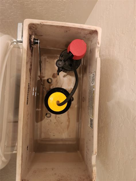 Why Does My Toilet Keep Dripping at Zane Stirling blog