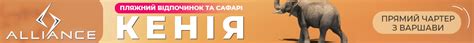 Система Поиска и Бронирования Туров - IT-tour