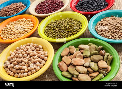 variety  legumes fava bean mung bean soy green lentils adzuki