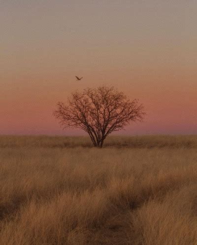 countryside on Tumblr
