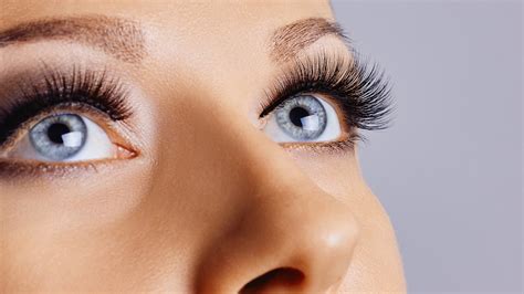 Strip Lashes & Lash Adhesives - National Salon Supplies