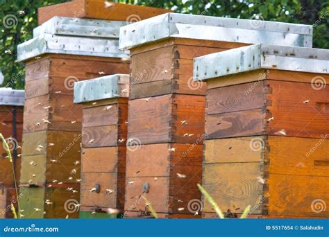 apiary stock photo image  honeycraft honeybee apiary