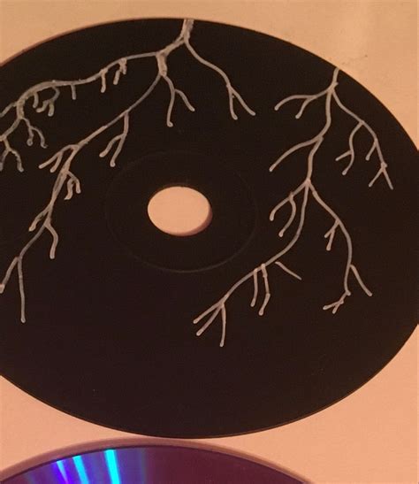 DIY CD Art: Transform Your Old CDs into Beautiful Decor