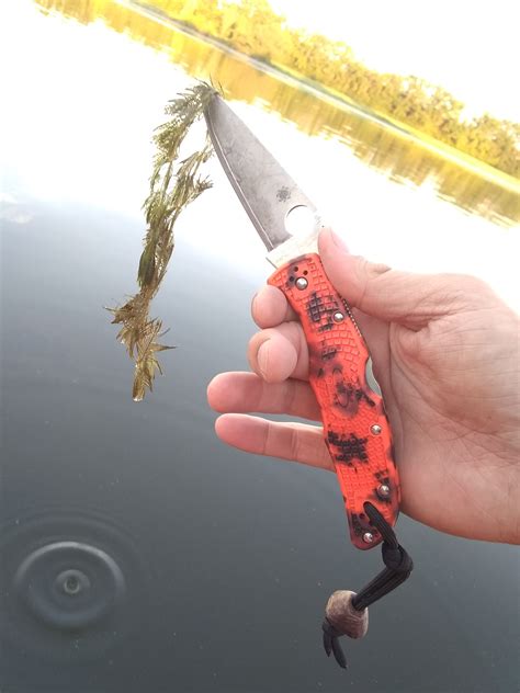What Spyderco is in your pocket today?? - Page 855 - Spyderco Forums
